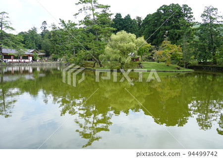 Scenery of Sarusawa Pond Scenery of Sarusawa Pond 94499742
