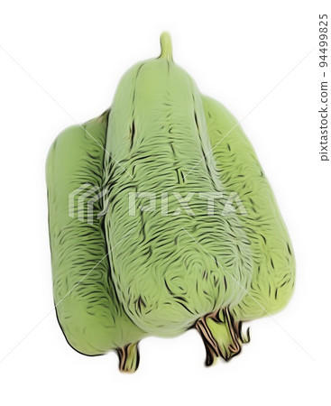 絲瓜 菜瓜 蔬菜 食材 天然 植物 三條 A06 94499825