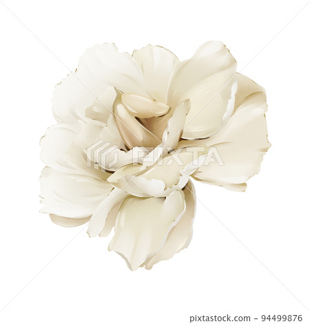 Light carnation on a white background 94499876