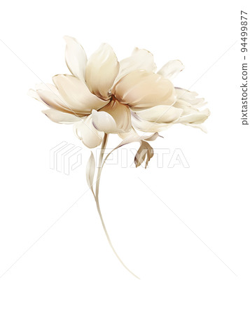 Light peony on a white background 94499877