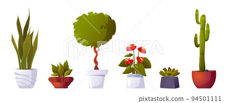 Potted flowers set isolated on white background Potted flowers set isolated on white background 94501111