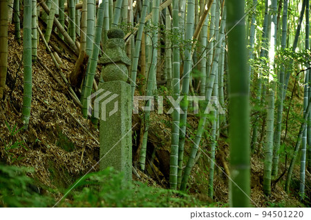 172 Town Stone and Koyasan Town Stone Road [Kudoyama Town, Wakayama Prefecture] 94501220