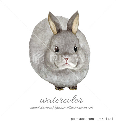 可用於新年賀卡的兔子水彩畫 可用於新年賀卡的兔子水彩畫 94501481