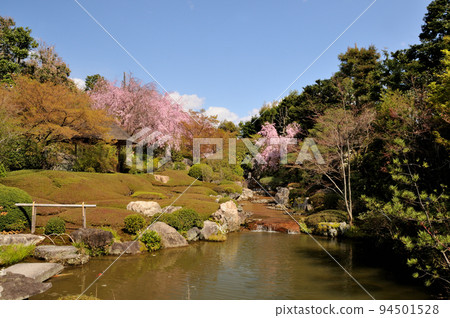 Myoshinji Taizoin (Yokoen) [京都府京都市右京區] 94501528