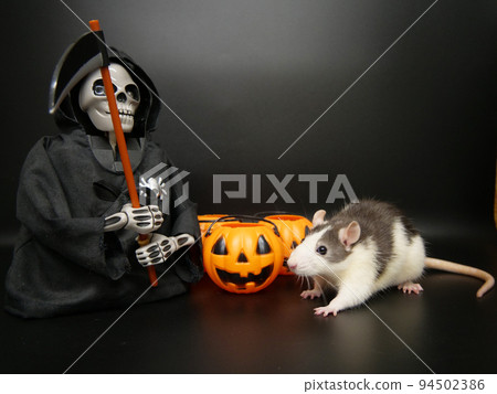 老鼠遇到死神 94502386