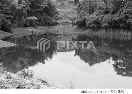 森林、森林和反射中的農業水池 森林、森林和反射中的農業水池 94502693