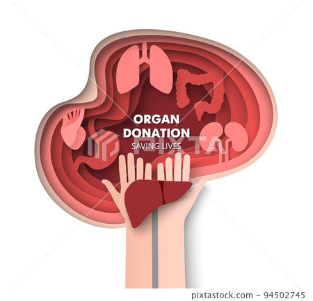 Organ donation 3d vector saving life concept 94502745