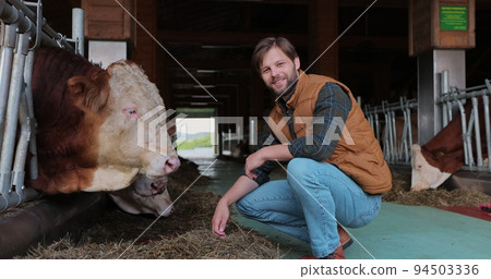 Young farmer in shirt and in orange vest stroking cows on the farmhouse. Farmer taking care of cows. Milking manufacture professional concept. 94503336