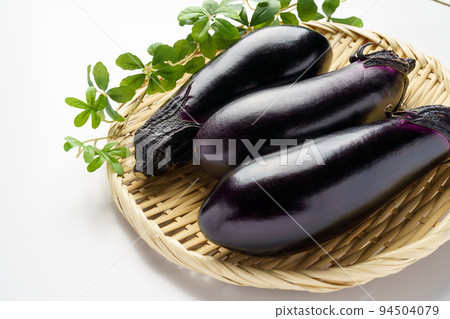 eggplant eggplant 94504079