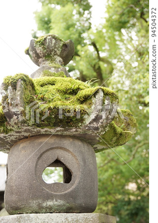 苔蘚景觀 94504372