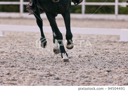 Feet sports horse running at sand riding arena, outdoors. Equestrian sport. Dressage of horses in the arena. Feet sports horse running at sand riding arena, outdoors. Equestrian sport. Dressage of horses in the arena. 94504491
