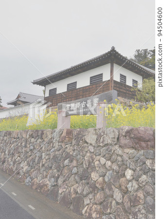 黃色的油菜花在多雲的春雨中綻放 背景照片：日高市駒鄉老民居的一排垂直燈 94504600