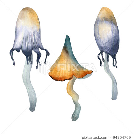 Set of toadstool and fantasy plants watercolor illustration isolated on white background. 94504709