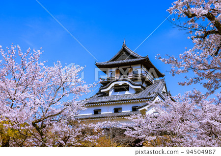 National Treasure Inuyama Castle, when the cherry blossoms bloom 94504987