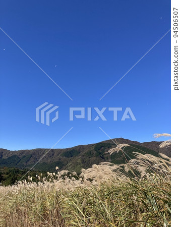 山、蒲葦和藍天 94506507