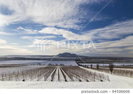 Winter vineyards under Palava near Sonberk, South Moravia, Czech Republic Winter vineyards under Palava near Sonberk, South Moravia, Czech Republic 94506606
