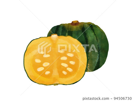 Illustration of a cross section of a pumpkin fruit 94506730
