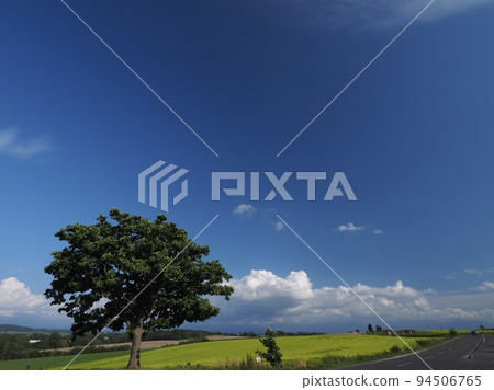 Scenery of Biei Hokkaido 94506765