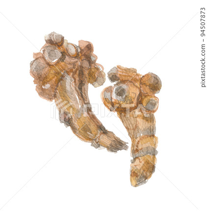 Denshichi Ginseng Sanshichi Ginseng Root 94507873