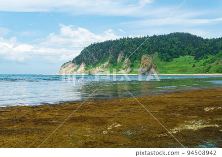 coastal landscape, rocky green coast of Kunashir island, algae on the littoral at low tide in the foreground 94508942