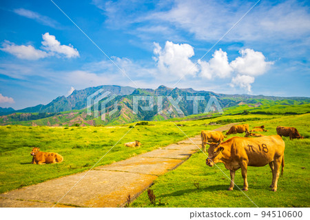 Kumamoto Prefecture: Farm scenery seen from the Aso Panorama Line 94510600