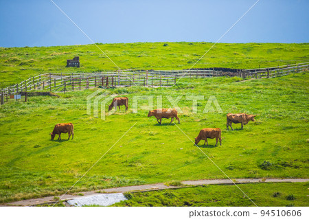 Kumamoto Prefecture: Farm scenery seen from the Aso Panorama Line 94510606
