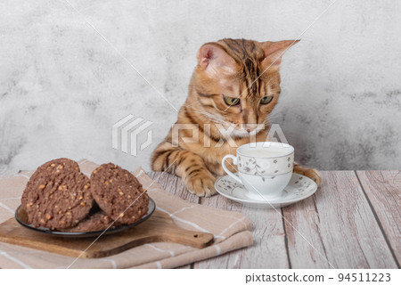Funny kitty with a mug of milk and oatmeal cookies. 94511223