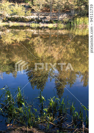 Lake Fulmor Idyllwild Southern California 94511739