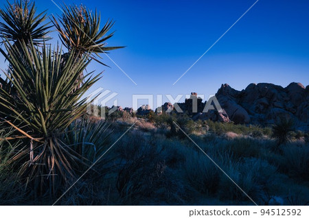 Indian Cove Campground Joshua Tree Southern California 94512592