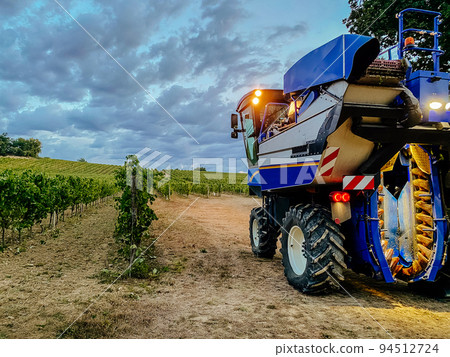 combine harvester evening grape harvest in France 94512724