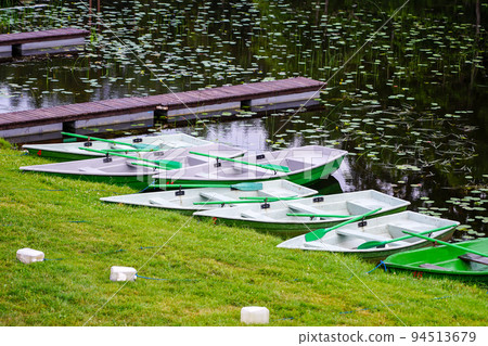 Lakeside boat dock with several fiberglass rowboats for rent 94513679