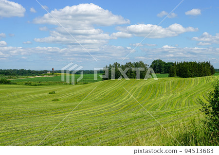 Rural landscape in summer with freshly mowed meadow with trees on blue sky background 94513683