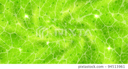 Abstract green seamless pattern or plant cells with nuclears texture under a microscope Abstract green seamless pattern or plant cells with nuclears texture under a microscope 94513961