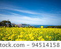 油菜田 94514158