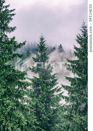 Misty mountain landscape Misty mountain landscape 94514650