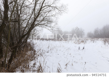 A swamp covered with snow and ice in the winter season 94514731