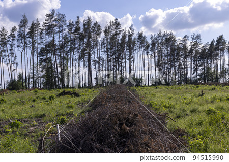 deforestation and timber harvesting in eastern Europe deforestation and timber harvesting in eastern Europe 94515990