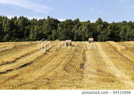 twisted straw stacks after harvest 94515996