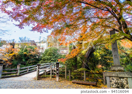 Otsuki City, Yamanashi Prefecture Kai no Saruhashi Bridge dyed in autumn leaves 94516094