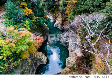 被紅葉染紅的山梨縣大月市界之猿橋 被紅葉染紅的山梨縣大月市界之猿橋 94516114
