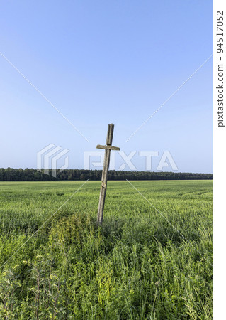 A field with a grain harvest and a wooden religious cross 94517052