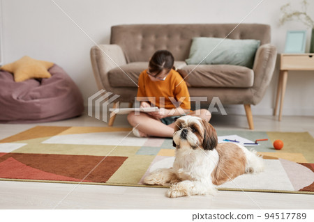 Cute Little Dog On Carpet 94517789