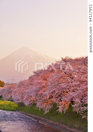 富士在春天的黎明和櫻花 94517951
