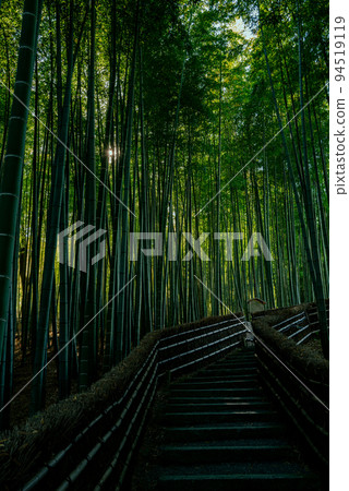 Shinko Buddha Temple bamboo grove 94519119
