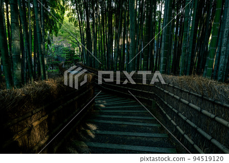Shinko Buddha Temple bamboo grove 94519120
