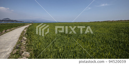 在空虛的日常生活中盲目行走,在路上問路 在空虛的日常生活中盲目行走,在路上問路 94520039