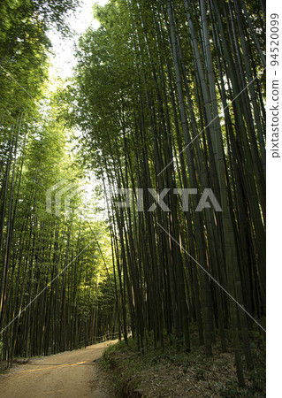 在空虛的日常生活中盲目行走，在路上問路 94520099