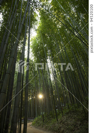 在空虛的日常生活中盲目行走，在路上問路 94520100