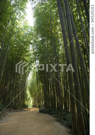 在空虛的日常生活中盲目行走，在路上問路 94520101