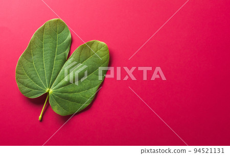 Happy Dussehra background concept made from green leaf on red paper background. Dussehra Indian Festival concept. Happy Dussehra background concept made from green leaf on red paper background. Dussehra Indian Festival concept. 94521131